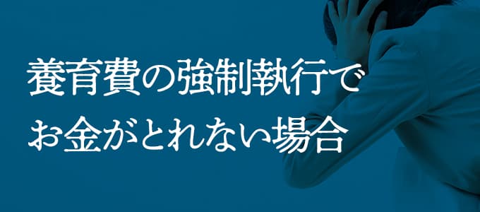 養育費の強制執行でお金がとれない場合は？
